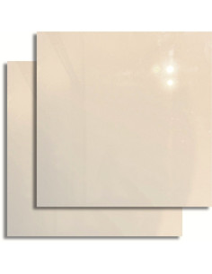 Beige Pulido 60x60 Técnico Monomasa